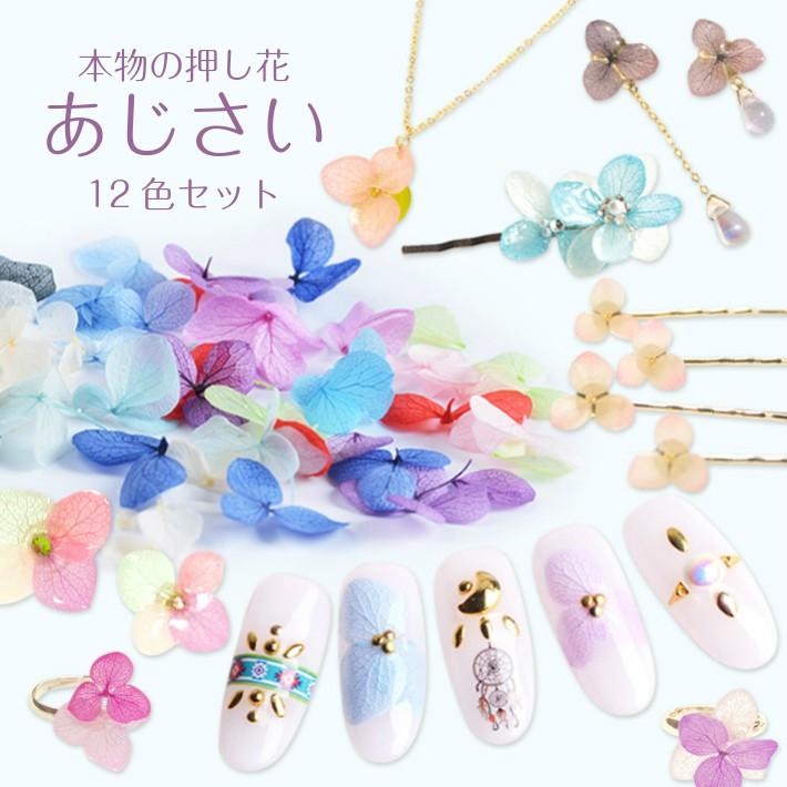 押し花 １２色セット メール便対応 ネイルにもuvレジンにも素敵 あじさい Dcoprt136 東京タカラネイル 通販 Yahoo ショッピング