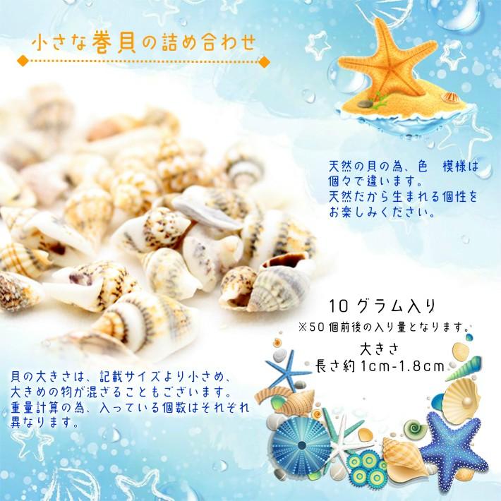 貝殻】小さな巻貝 10グラムセット【メール便対応】 UVレジン 手作り