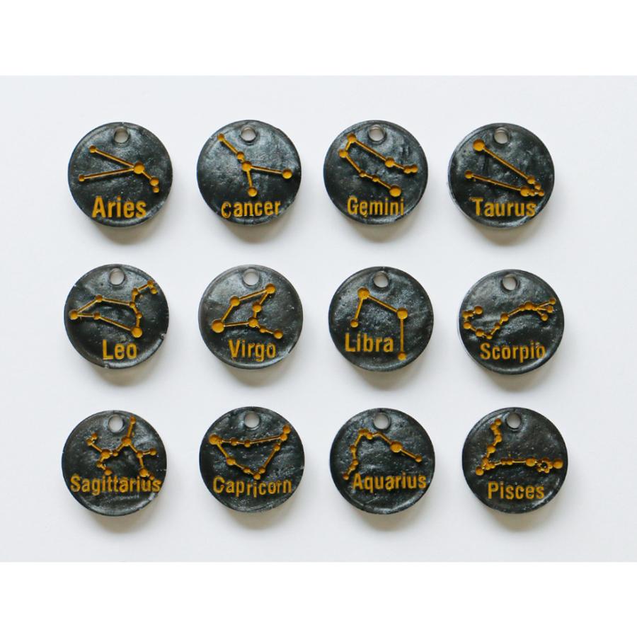 シリコンモールド 12星座 チャーム コイン型 【メール便対応】シリコン型 レジン型