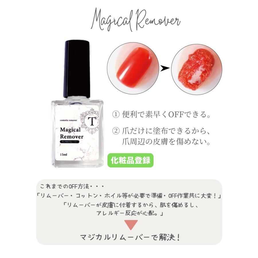 マグネットジェル スターターキット ジェルネイルキット ポリッシュ 