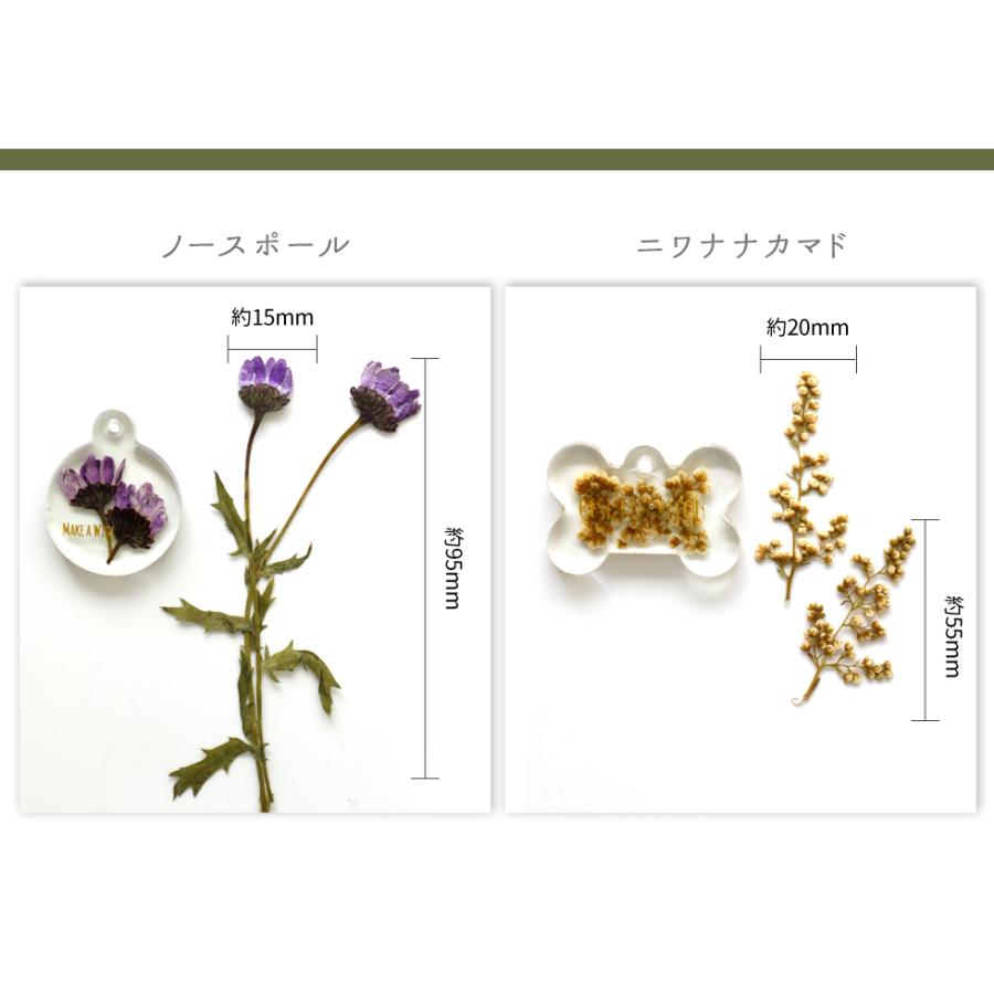 レジン ボタニカルチャームキット A 子供 クラフトキット 押し花