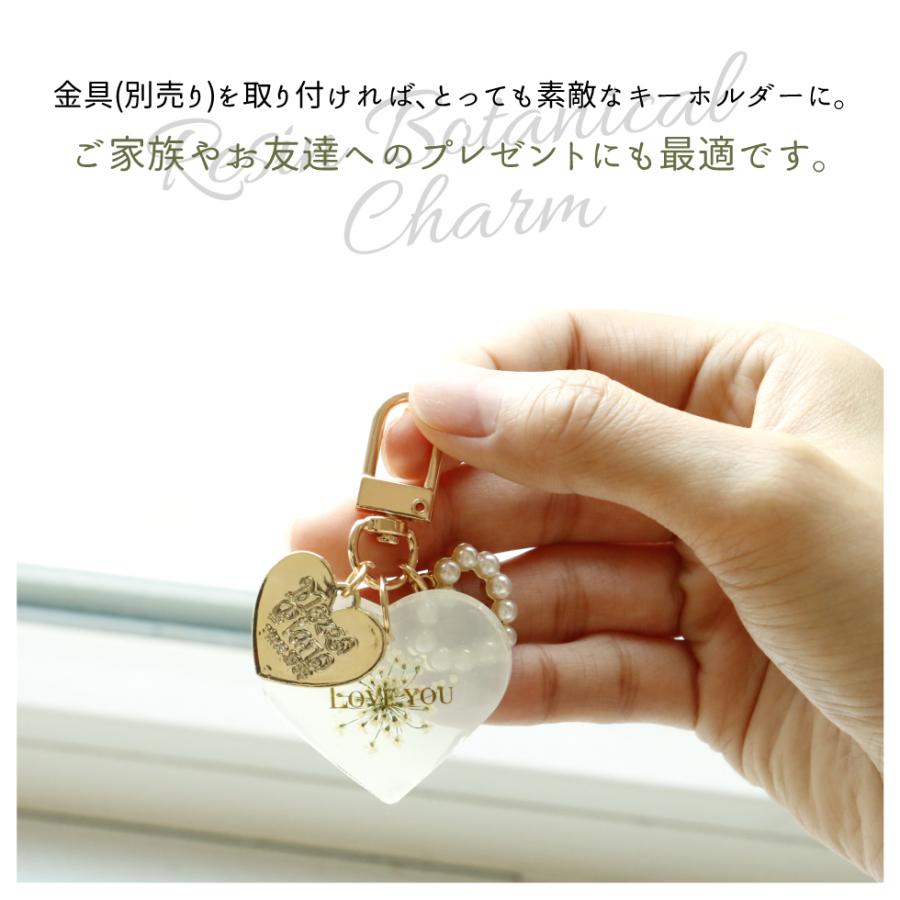 レジン ボタニカルチャームキット A 子供 クラフトキット 押し花 タグ  