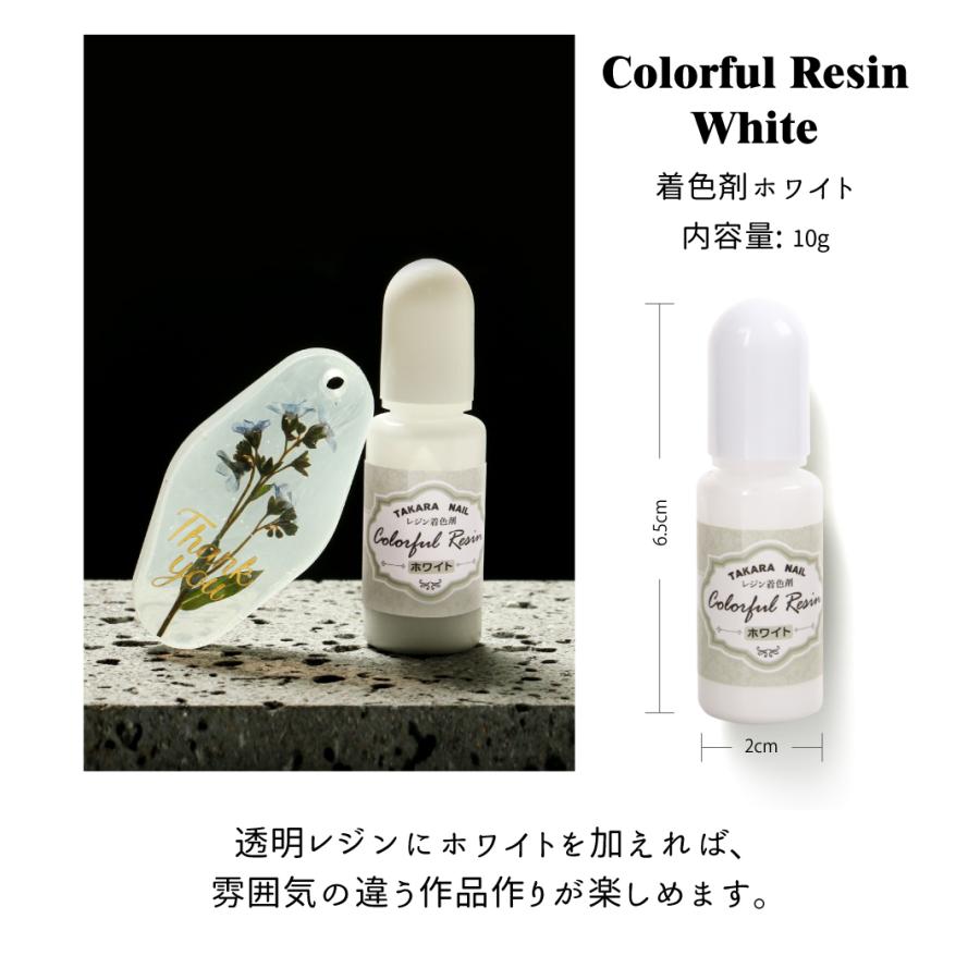 レジン ボタニカルチャームキット A 子供 クラフトキット 押し花 タグ 