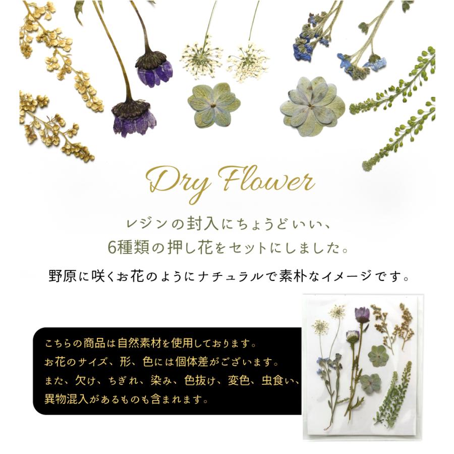 レジン ボタニカルチャームキット A 子供 クラフトキット 押し花 タグ  