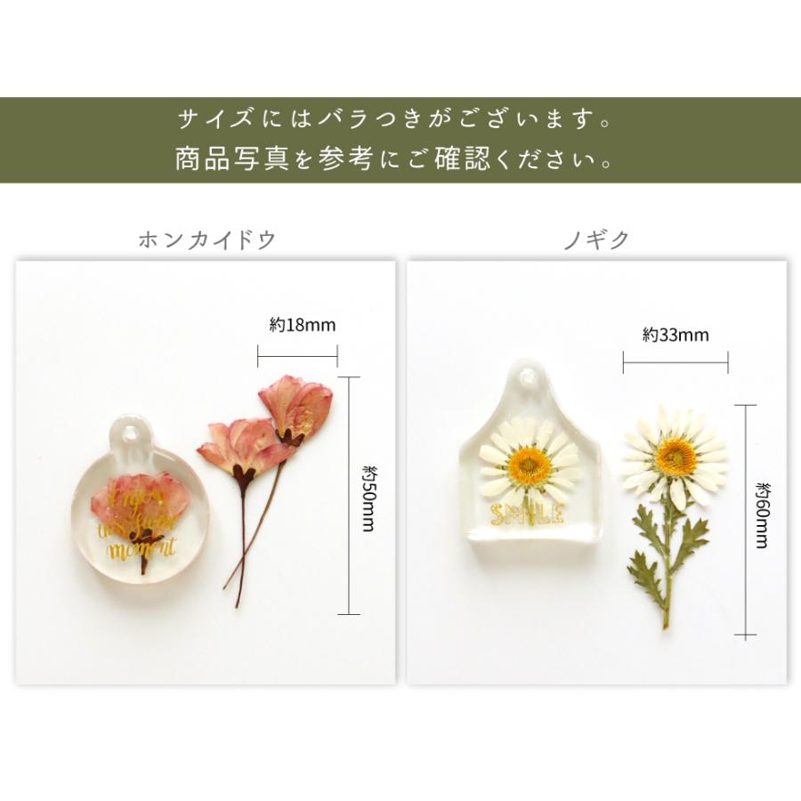 レジン ボタニカルチャームキット B 子供 クラフトキット押し花 タグ型  