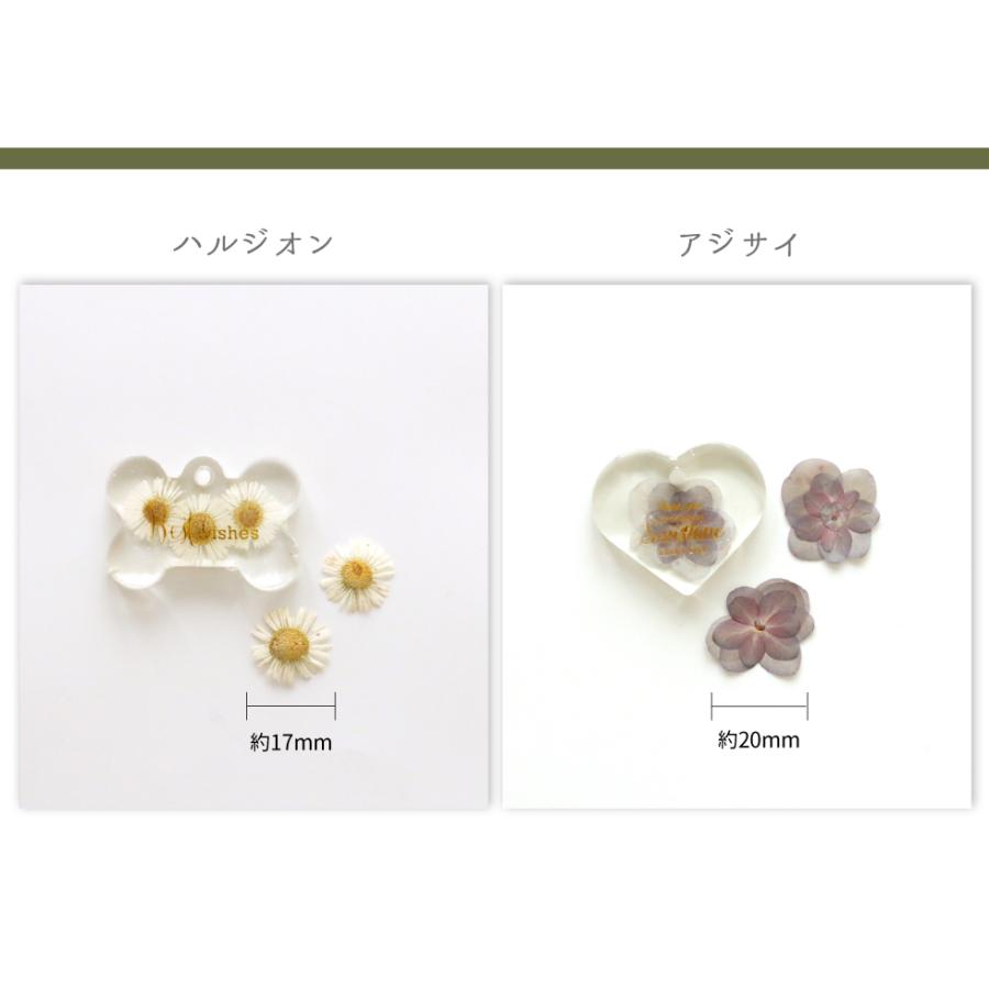 レジン ボタニカルチャームキット B 子供 クラフトキット押し花 タグ型 
