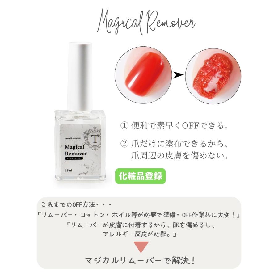 ジェルネイル キット ポリッシュタイプ マグネットネイル 3色選べる