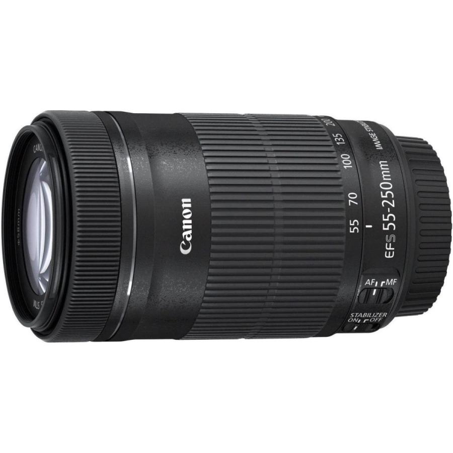 キヤノン Canon EF-S 55-250mm F4-5.6 IS STM 中古 手振れ補正 望遠