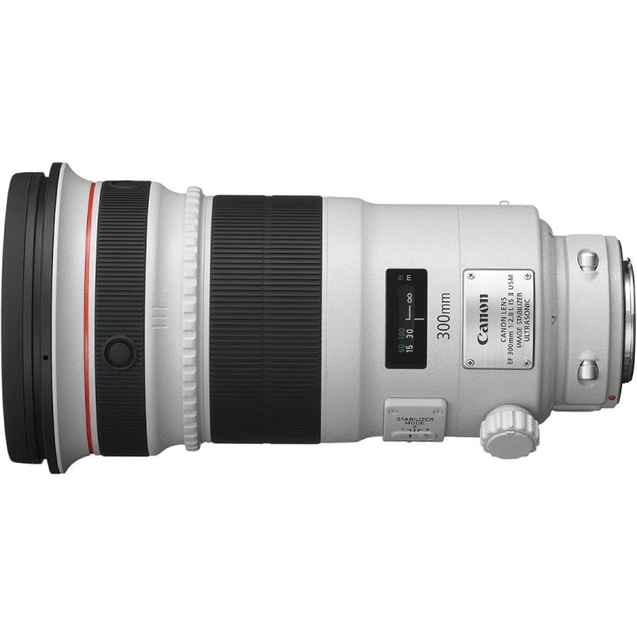 キヤノン Canon EF 300mm F2.8L IS II USM 手振れ補正 単焦点望遠