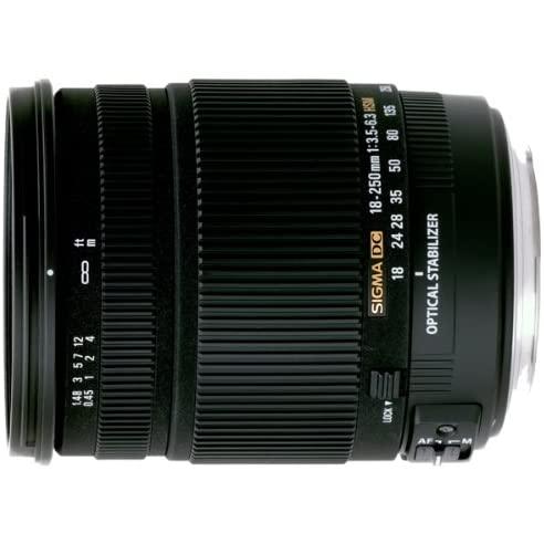 シグマ SIGMA 18-250mm F3.5-6.3 DC OS HSM ソニー用 デジタル一眼レフ用 中古 レンズ