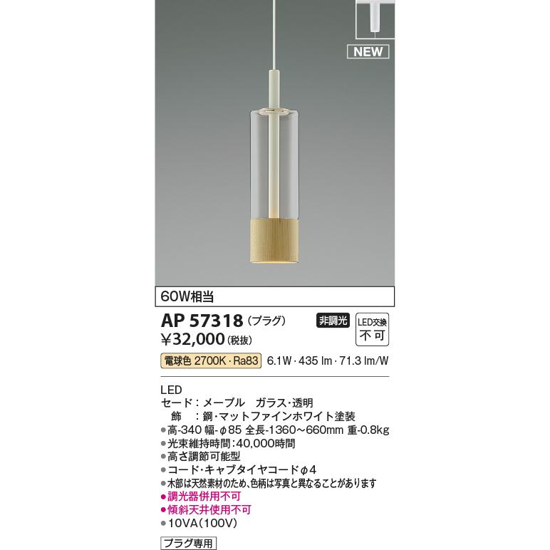 コイズミ AP57318 LEDペンダントライト Black×MP NATURAL BASIC プラグタイプ 電気工事不要 非調光 電球色 白熱球60W相当 おしゃれの画像