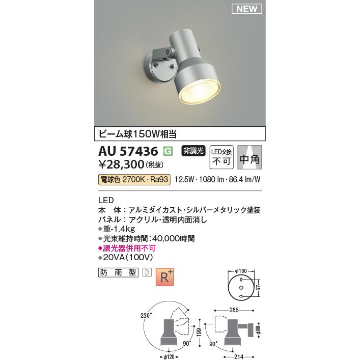 KOIZUMI（コイズミ） AU57436 エクステリア LEDスポットライト ビーム