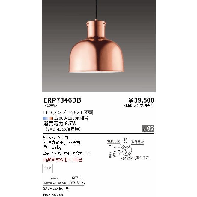 遠藤照明 ERP7346DB LEDZ LAMP ペンダントライト 本体のみ ランプ別売