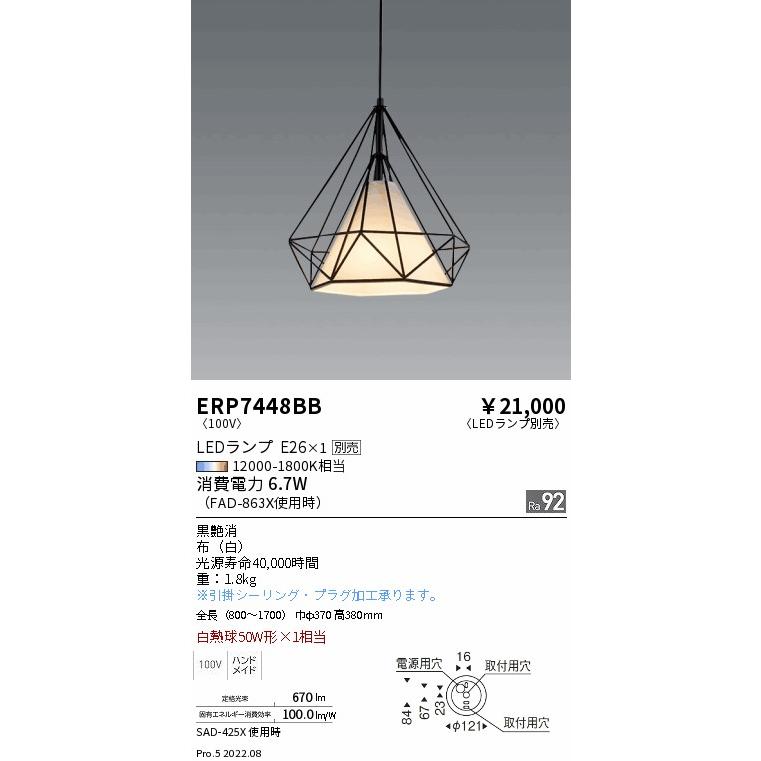 遠藤照明 ERP7448BB LEDZ LAMP ペンダントライト 本体のみ ランプ別売