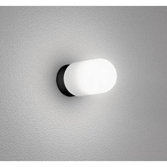 オーデリック OG254767ND エクステリア LEDポーチライト 白熱灯器具60W相当 2022年最新海外 昼白色 照明器具 天井面取付兼用 壁面 防湿型 最大42%OFFクーポン 非調光 防雨