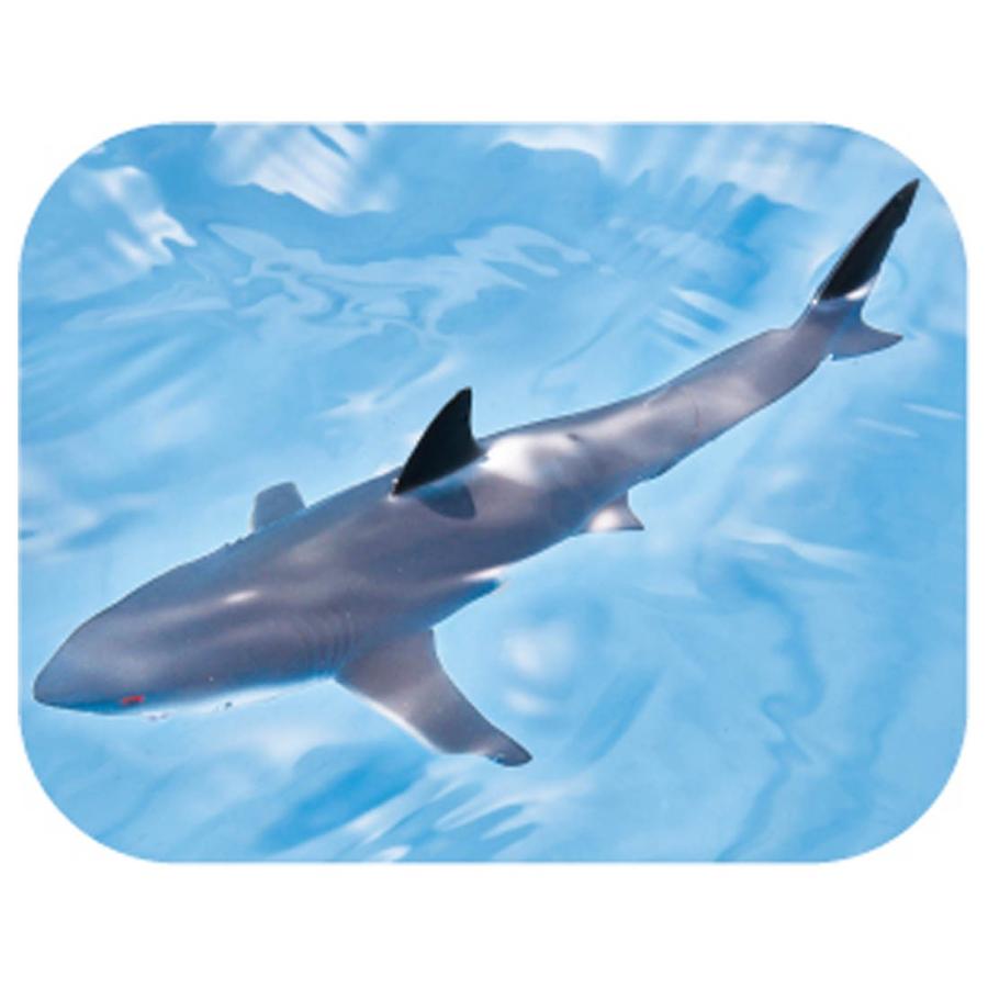 タカラトミー（TAKARA TOMY） アニア AS-07 ホホジロザメ(水に浮くVer