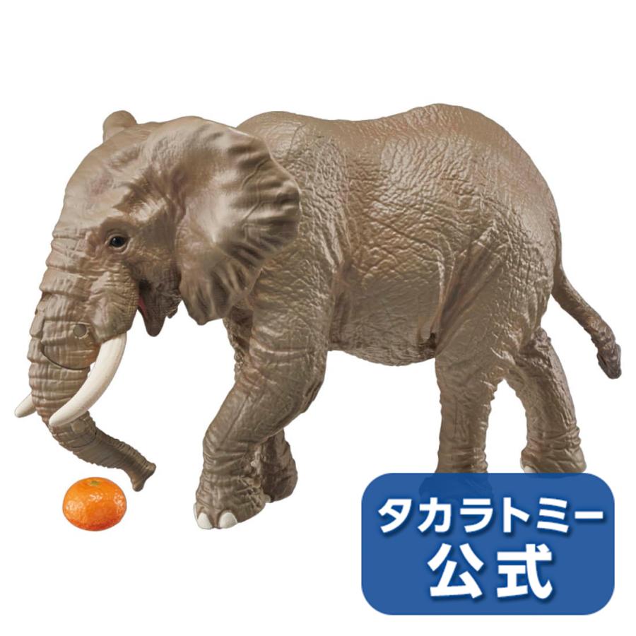 タカラトミー（TAKARA TOMY） アニア AS-02 アフリカゾウ(オレンジ付き
