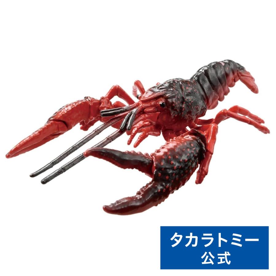 タカラトミー アニア AL-31 アメリカザリガニ : タカラトミー