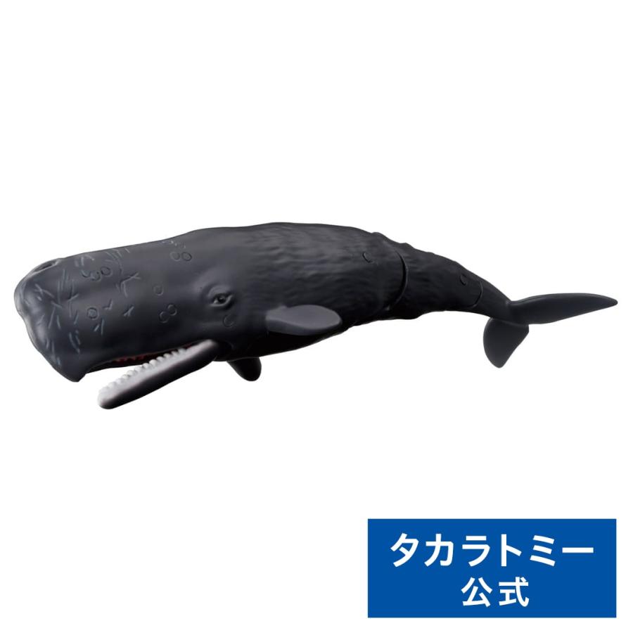 タカラトミー アニア AL−34 マッコウクジラ(水に浮くVer