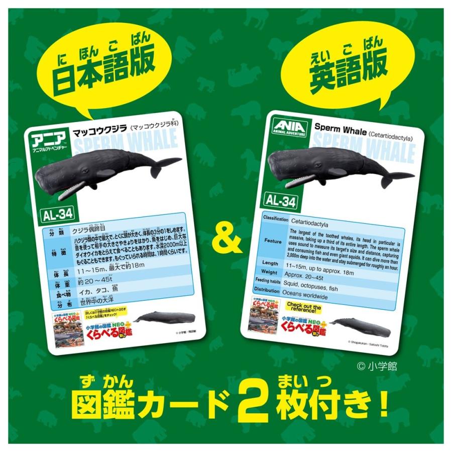 タカラトミー（TAKARA TOMY） アニア AL−34 マッコウクジラ（水に