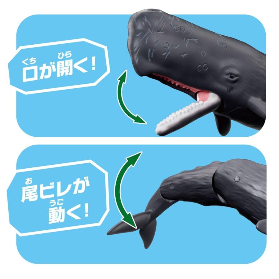 マッコウ鯨　本物立て切色々　お買得品 タカラトミー（TAKARA TOMY） アニア AL−34 マッコウクジラ（水に