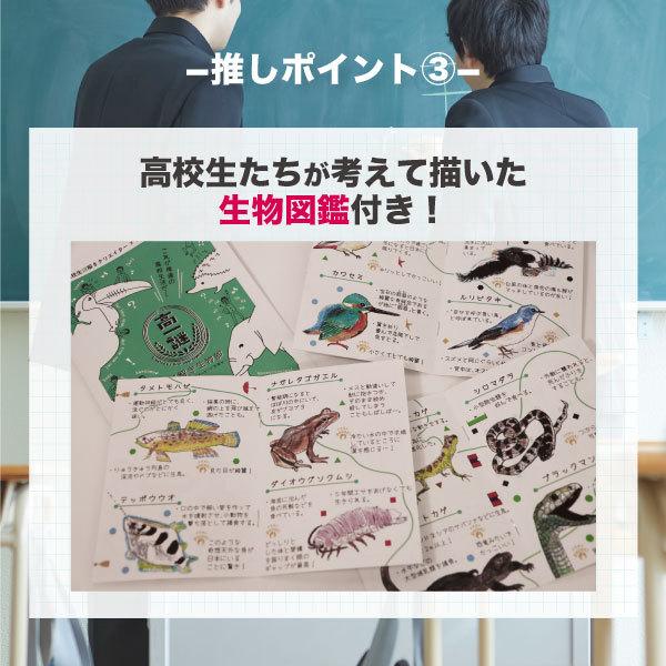 高一謎 謎解き生物部‐先輩たちからのメッセージを探せ‐【困ったらこれ！ 】 [送料ウエイト：1]｜takarushshop｜05