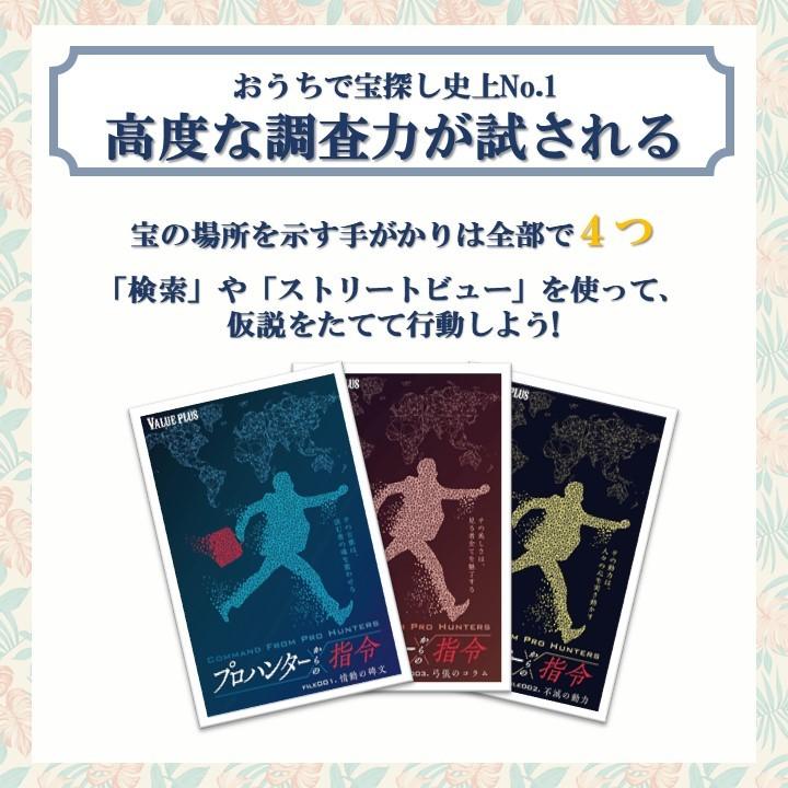 謎解き Valueplus プロハンターからの指令 FILE001-003 おうちで宝探し