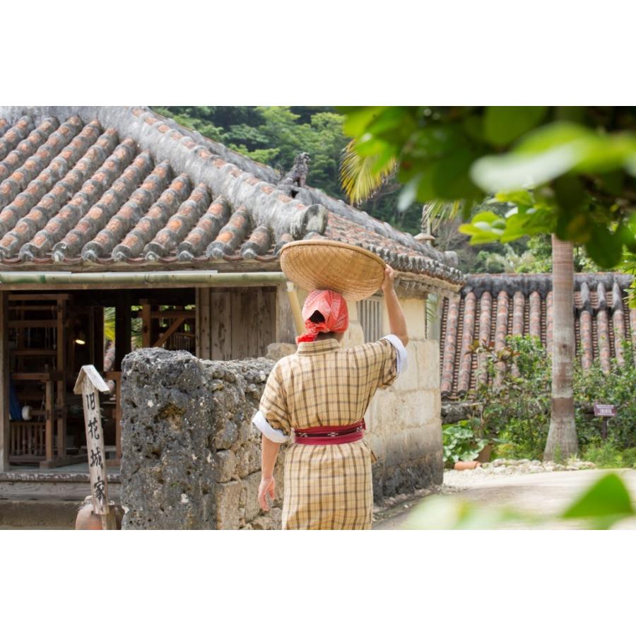 謎解き 琉球村の神秘の宝ー夢から届いた手紙の謎ー【現地イベントがお家でできる!バーチャル謎解きプログラム】[送料ウエイト：1.5] |  | 02