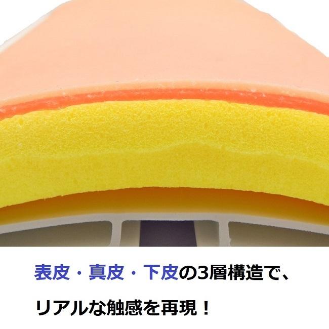 3層皮膚パッド入、耐久性抜群]縫合練習キット [実績No.1] 199001