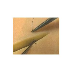 動画DVDと縫合トレーニングセットで学ぶ 実践 縫合の基本テクニック 創処置、… 動画DVDと縫合トレーニングセットで学ぶ 実践 縫合の基本テクニック 創