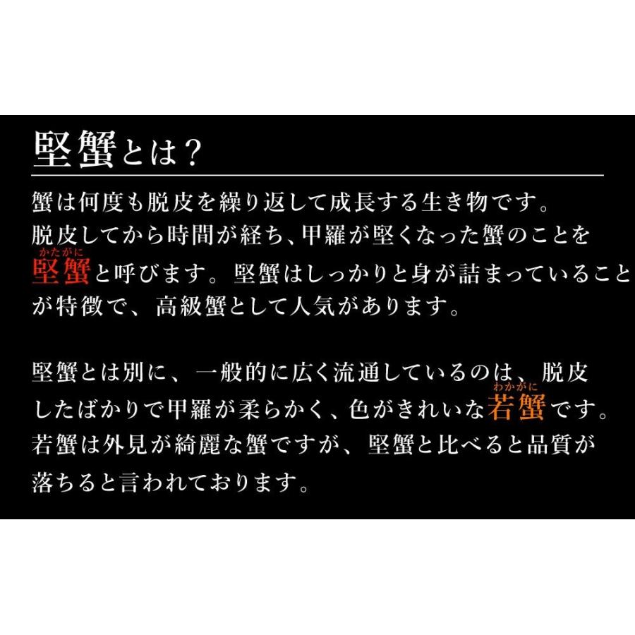 ギフト 三大蟹セット【プレミアム】グルメ大賞受賞毛がに＆ズワイガニ＆タラバ蟹 お中元 2023 お中元ギフト プレゼント 2023 ギフト 70代 ケガニ 蟹 かに カニ｜takasui｜09