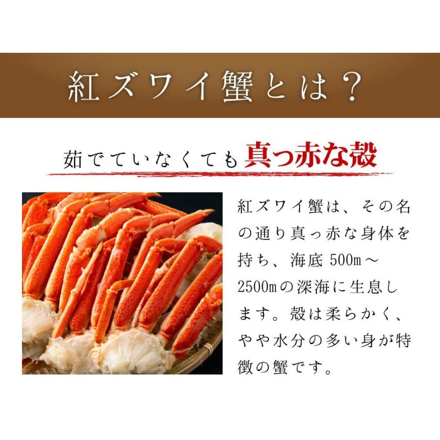 カニ かに 蟹 紅ズワイガニ 1kg 訳あり ボイル お1人様用 食べ放題 脚 蟹 カニ かに 紅ズワイ蟹 お中元 敬老の日 お歳暮年末年始 ギフト 内祝 出産内祝い Benis 1k 北海道 さっぽろ朝市 高水 通販 Yahoo ショッピング