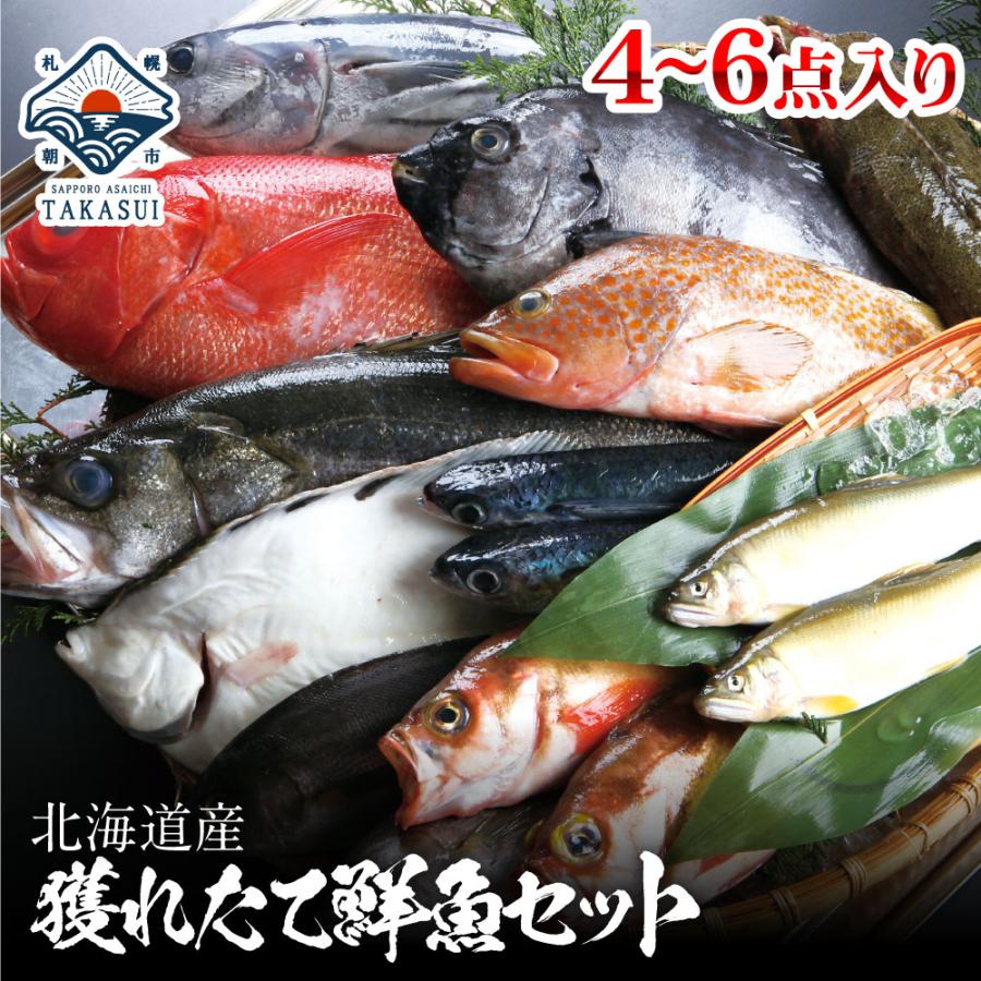 獲れたて未冷凍 獲れたて鮮魚セット セット 内祝 出産内祝い 贈答 内祝い 魚 海鮮 ポイント消化 お歳暮 御歳暮 プレゼント Chil Fk 4 北海道 さっぽろ朝市 高水yahoo 店 通販 Yahoo ショッピング