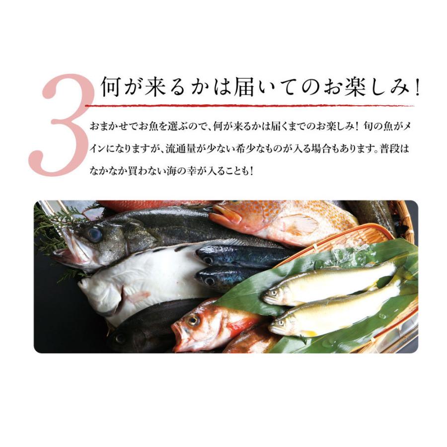 獲れたて未冷凍 獲れたて鮮魚セット セット 内祝 出産内祝い 贈答 内祝い 魚 海鮮 ポイント消化 お歳暮 御歳暮 プレゼント Chil Fk 4 北海道 さっぽろ朝市 高水yahoo 店 通販 Yahoo ショッピング