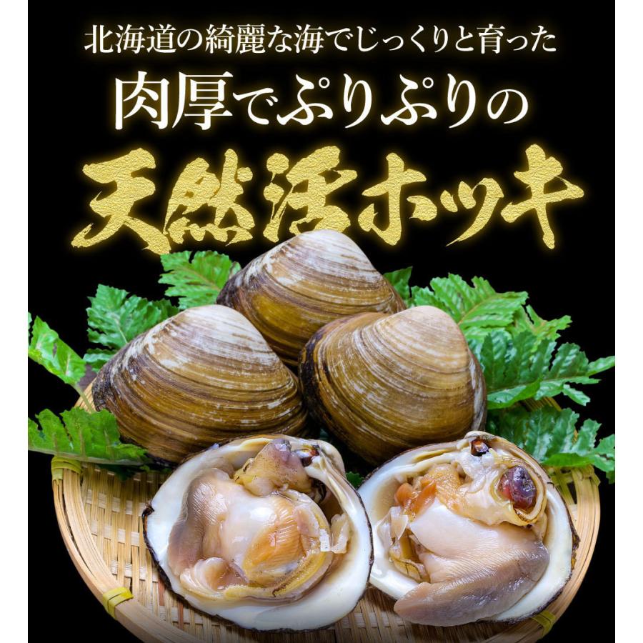 【獲れたてをお届け！】北海道産 活ホッキ 【送料無料】合計2kg(5〜7個) 北寄 ホッキ 活 チルド 航空便でお届け ギフト 内祝 出産内祝い ポイント消化｜takasui｜05