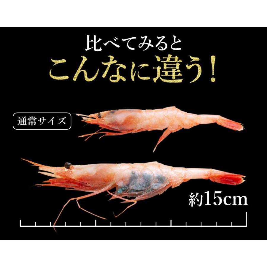 甘エビ 1kg 2lサイズ60尾前後 訳ありお刺身用 特大甘えび 甘海老 あまえび アマエビ お歳暮 御歳暮 お歳暮年末年始 ギフト 内祝 出産内祝い E 1 北海道 さっぽろ朝市 高水 通販 Yahoo ショッピング