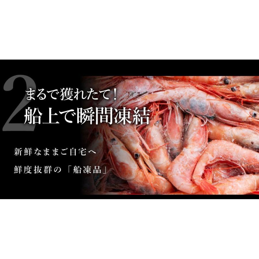 甘エビ 1kg 2lサイズ60尾前後 訳ありお刺身用 特大甘えび 甘海老 あまえび アマエビ お歳暮 御歳暮 お歳暮年末年始 ギフト 内祝 出産内祝い E 1 北海道 さっぽろ朝市 高水 通販 Yahoo ショッピング