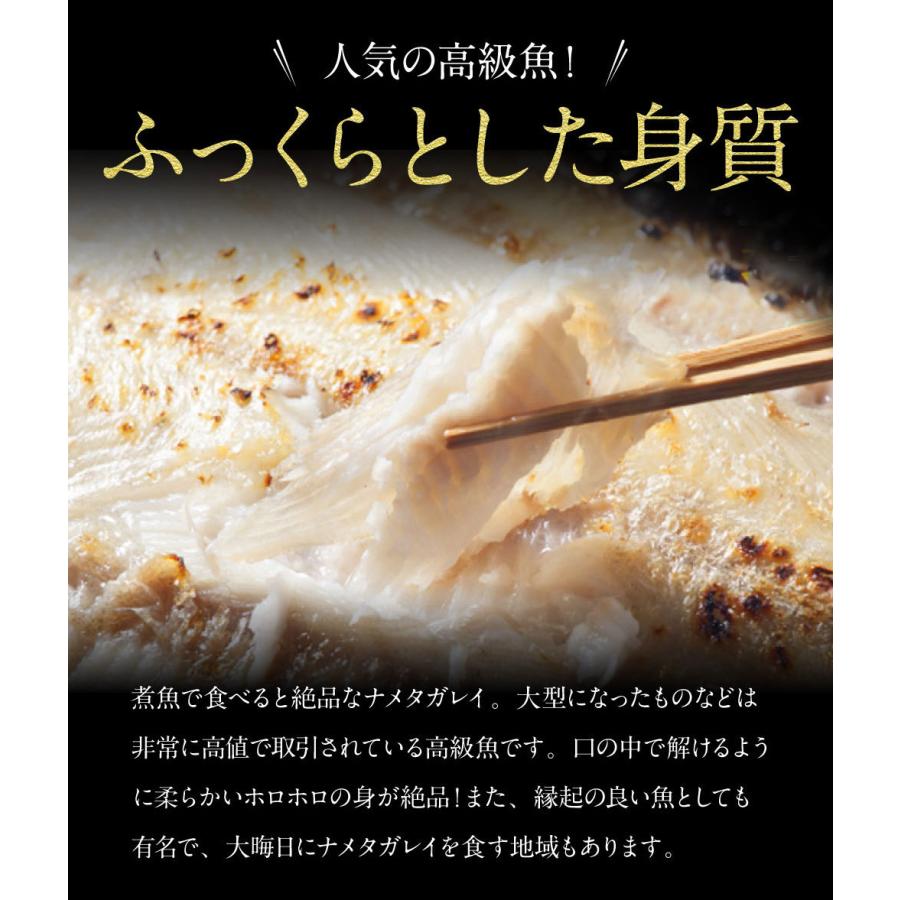 ナメタガレイ干物 市場の一夜干 ババガレイ ポイント消化 お中元 敬老の日 お歳暮年末年始 ギフト 内祝 出産内祝い H 10 さっぽろ朝市 高水 通販 Yahoo ショッピング