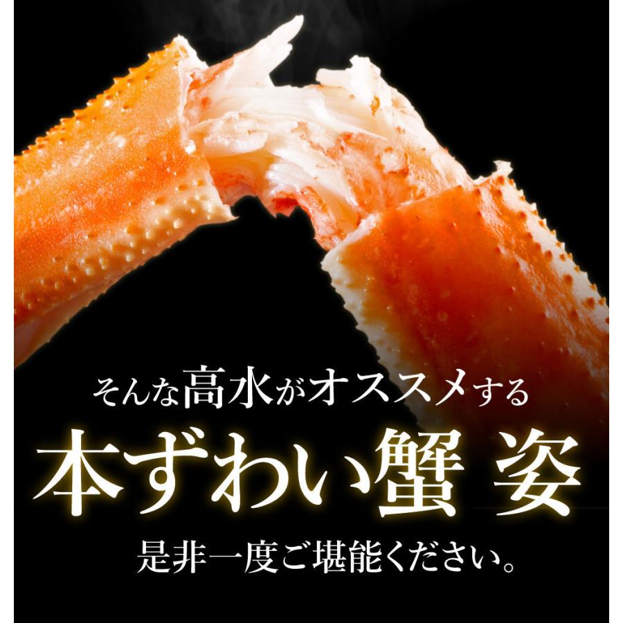 カニ かに 蟹 ズワイガニ ずわいがに 姿 3尾 特大 計2.4kg ボイル ずわい蟹 送料無料 1尾800g お年賀 御年賀 プレゼント ギフト 内祝｜takasui｜11