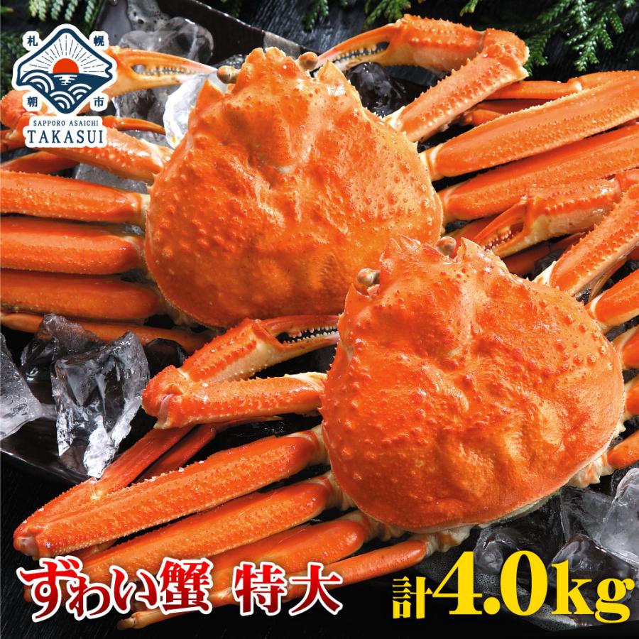 開店祝い カニ かに 蟹 ズワイ ずわい 特大 ズワイガニ 姿 800ｇ 5匹 計4 0kg 送料無料 ボイル お中元 敬老の日 お歳暮年末年始 ギフト 内祝 出産内祝い 最新人気 Zoetalentsolutions Com