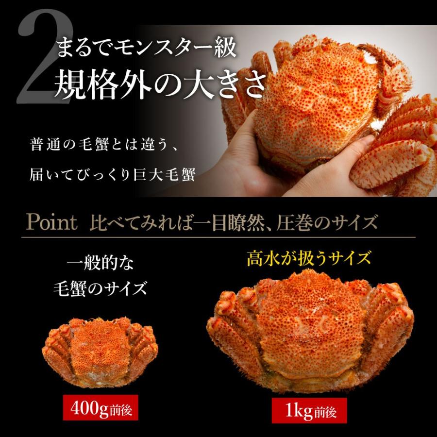 お中元 2023 お中元ギフト プレゼント カニ 蟹 毛ガニ かに 1kg ボイル 毛蟹 けがに 総重量1kg前後 特大 プレゼント 2022 蟹味噌｜takasui｜02