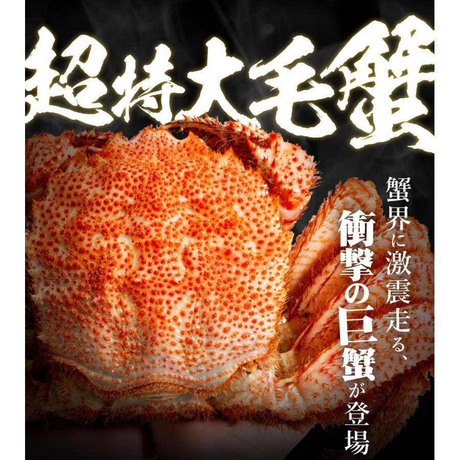 超超特大 衝撃の1尾で1 4kg 毛蟹 毛ガニ 毛がに 超特大ジャンボ毛蟹 最高ランク カニ 蟹 姿 特大 かに ギフト お歳暮年末 年始 お歳暮 お歳暮ギフト 北海道 さっぽろ朝市 高水yahoo 店 通販 Paypayモール