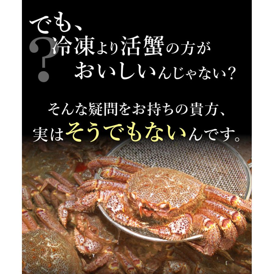 カニ かに 蟹 毛ガニ 毛蟹  浜茹で 300〜380g前後×4尾セット 送料無料 けがに ケガニ お年賀 御年賀 プレゼント ギフト 内祝 出産内祝い｜takasui｜05