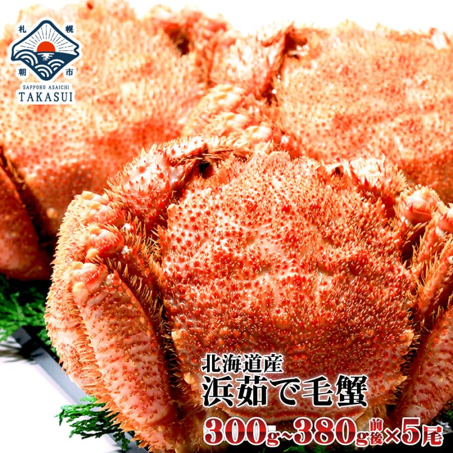 最安値 カニ かに 蟹 毛ガニ 毛蟹 浜茹で 300 380g前後 5尾セット 送料無料 けがに ケガニ お歳暮 ギフト お歳暮年末年始 ギフト 内祝 出産内祝い 即納特典付き Www Thedailyspud Com
