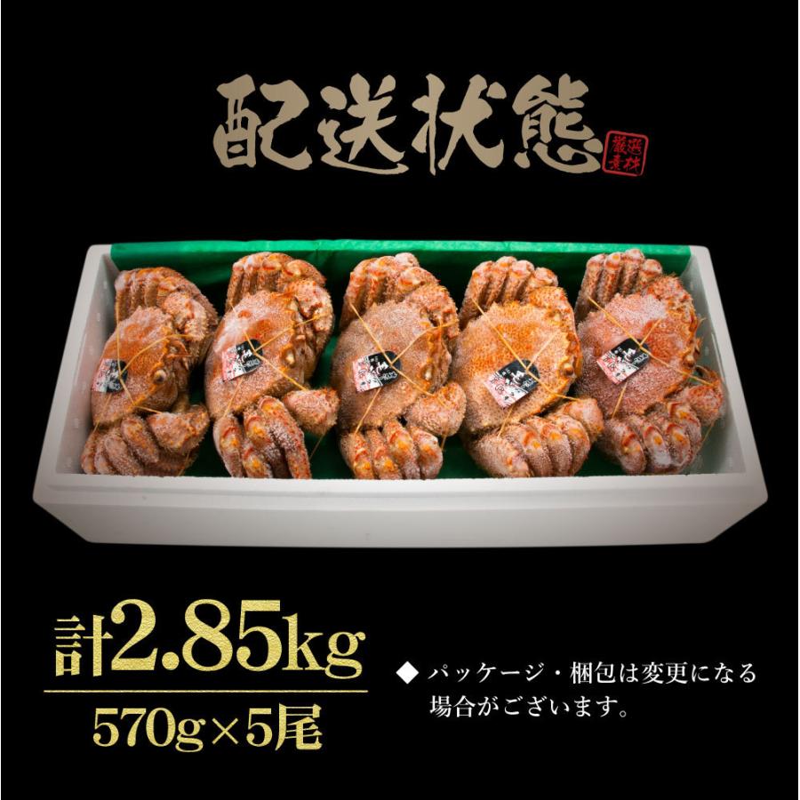 カニ かに 蟹 毛ガニ 毛蟹 北海道産 浜茹で 大570g×5尾セット計2.85kg 送料無料けがに お年賀 御年賀 プレゼント ギフト 内祝 出産内祝い｜takasui｜09