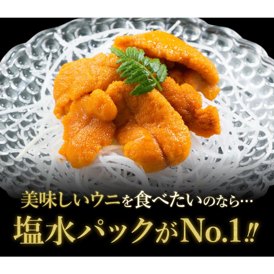 3個で1個分タダ0円に 6 980円offクーポン 送料無料 父の日 うに ウニ 100g 獲れたて バフンウニ 最高級 塩水 北海道産 1パック 新入荷 流行