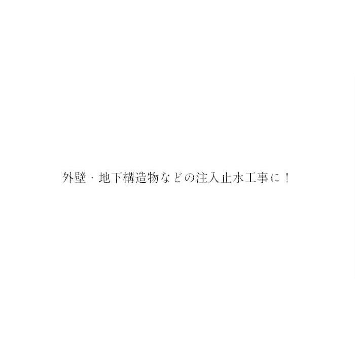 ショットプラグ 6mm/φ×75mm（100本入）（540-48）注入 撤去 硬化 DIY 防水の画像