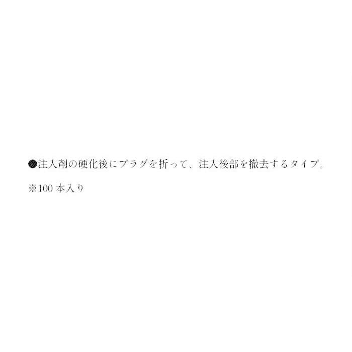 ショットプラグ 6mm/φ×75mm（100本入）（540-48）注入 撤去 硬化 DIY 防水の画像