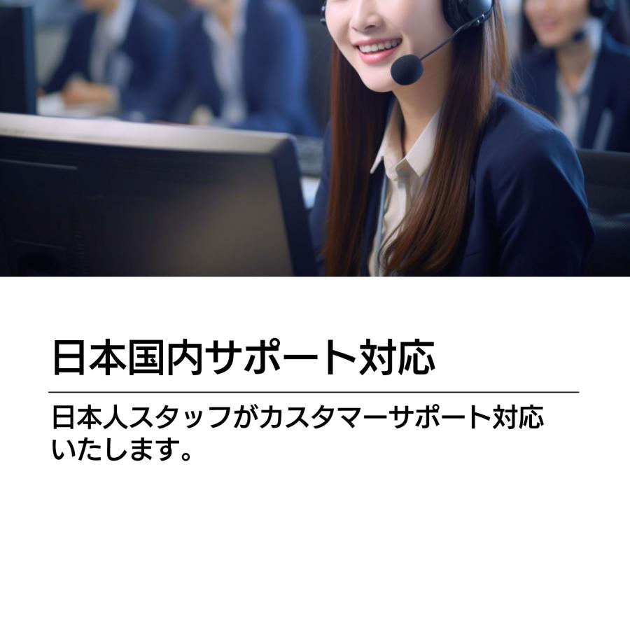 BLUEWIDE 11.6インチ ポータブルブルーレイプレーヤー BD-LIVE 充電バッテリー CPRM 3電源 日本語｜takaworld｜13