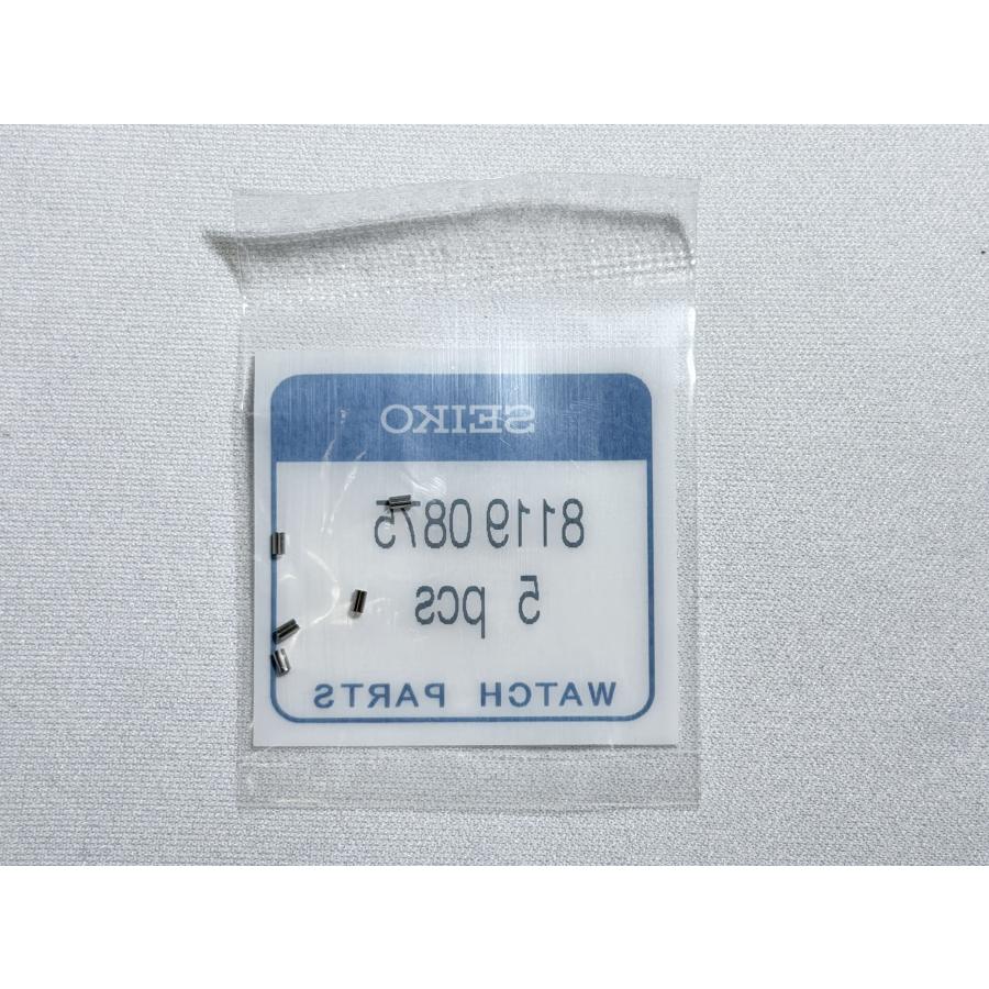 SEIKO（セイコー） 81190875 コマパイプ 駒・バックル用固定パイプ 5本